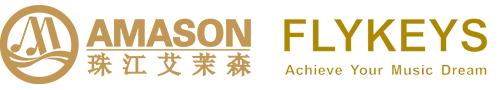 Guangzhou Pearl River Amason Digital Musical Instruments Co. Ltd